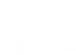 Air Man, LLC Logo